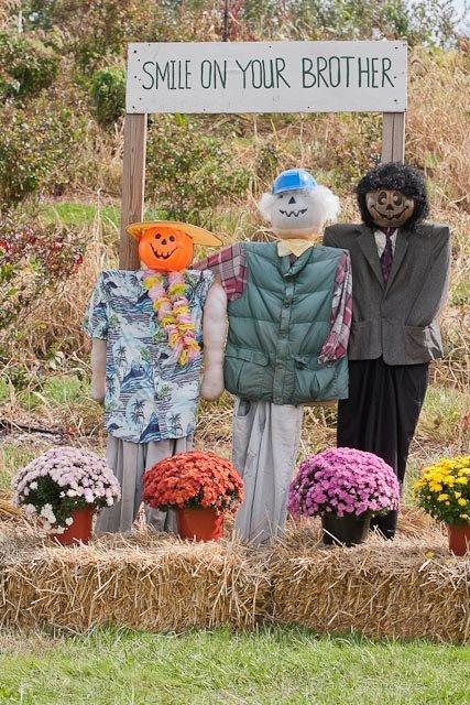 All photos and videos within this listing are the property of Rose's 