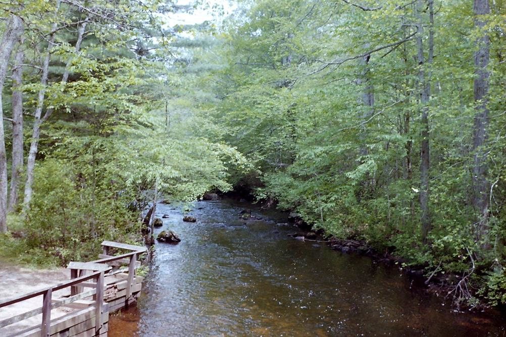 Haunted and Scary Devil's Hopyard State Park